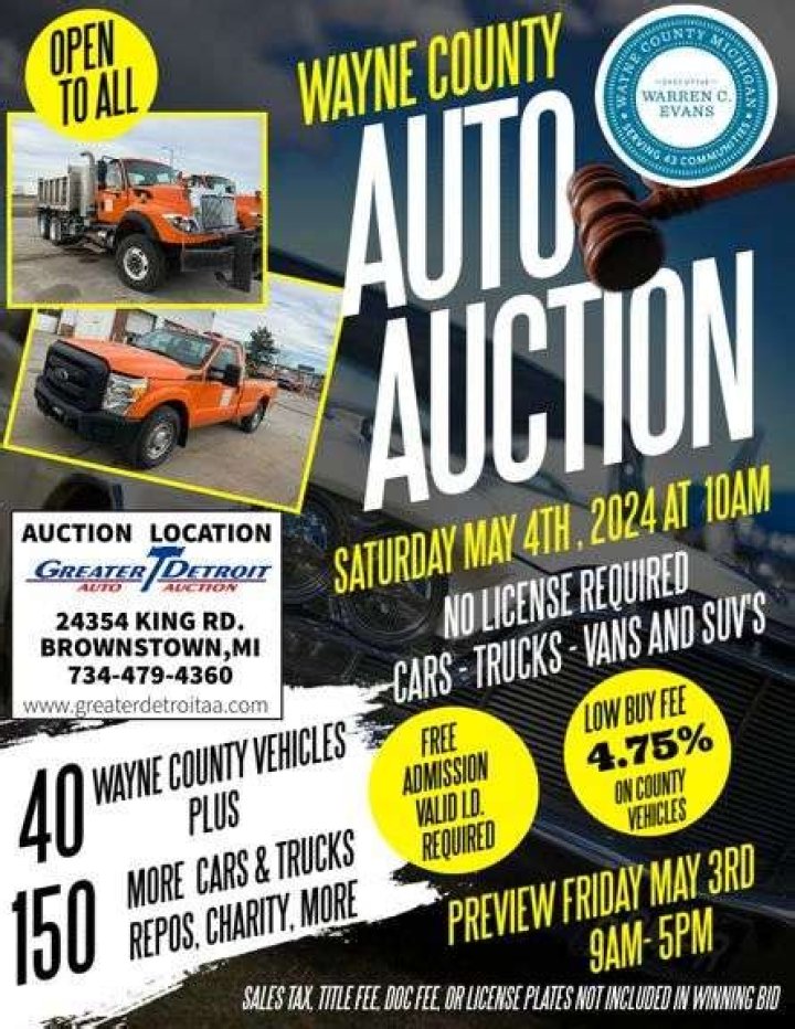Today's Wayne County Auction List PDF – Download Instantly