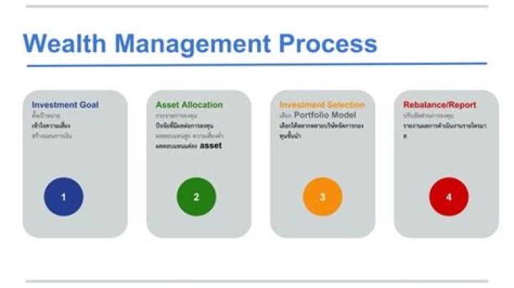 Mastering the Wealth Management Process: A Step-by-Step PDF Guide