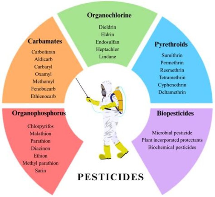 Free Weed Pesticides List PDF: Safe & Effective Weed Control Solutions