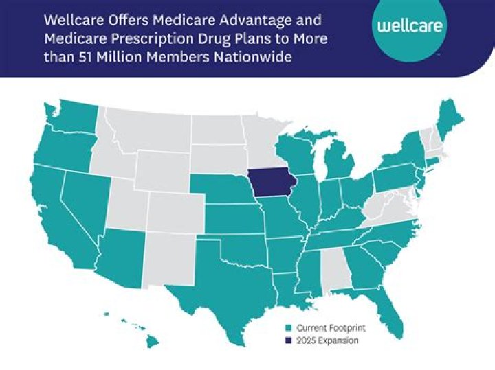 WellCare Drug Plan 2025: Essential Guide & PDF Summary