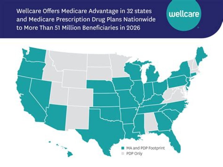 2025 WellCare Prescription Drug Plan Guide: Free PDF Download