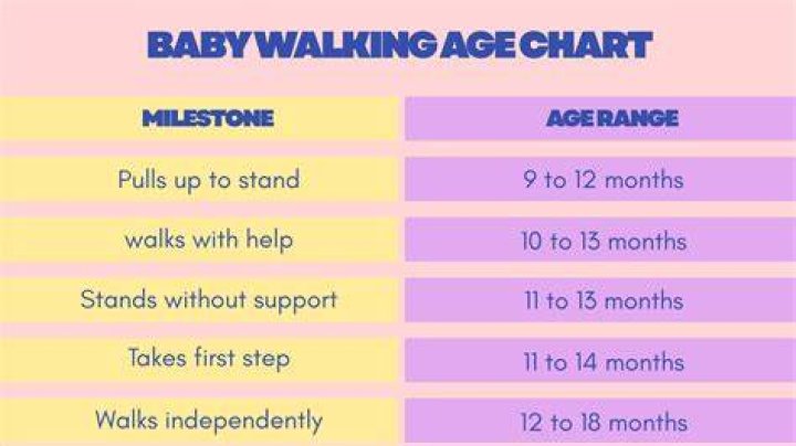 What age do babies learn math?