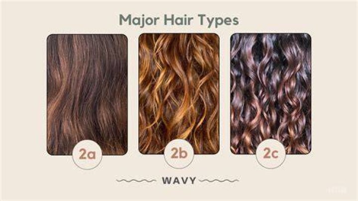 What are 2 types of hair?