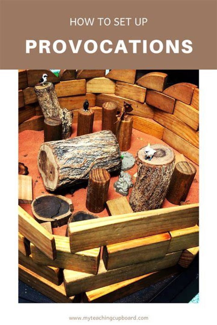 What are provocations in early childhood education?