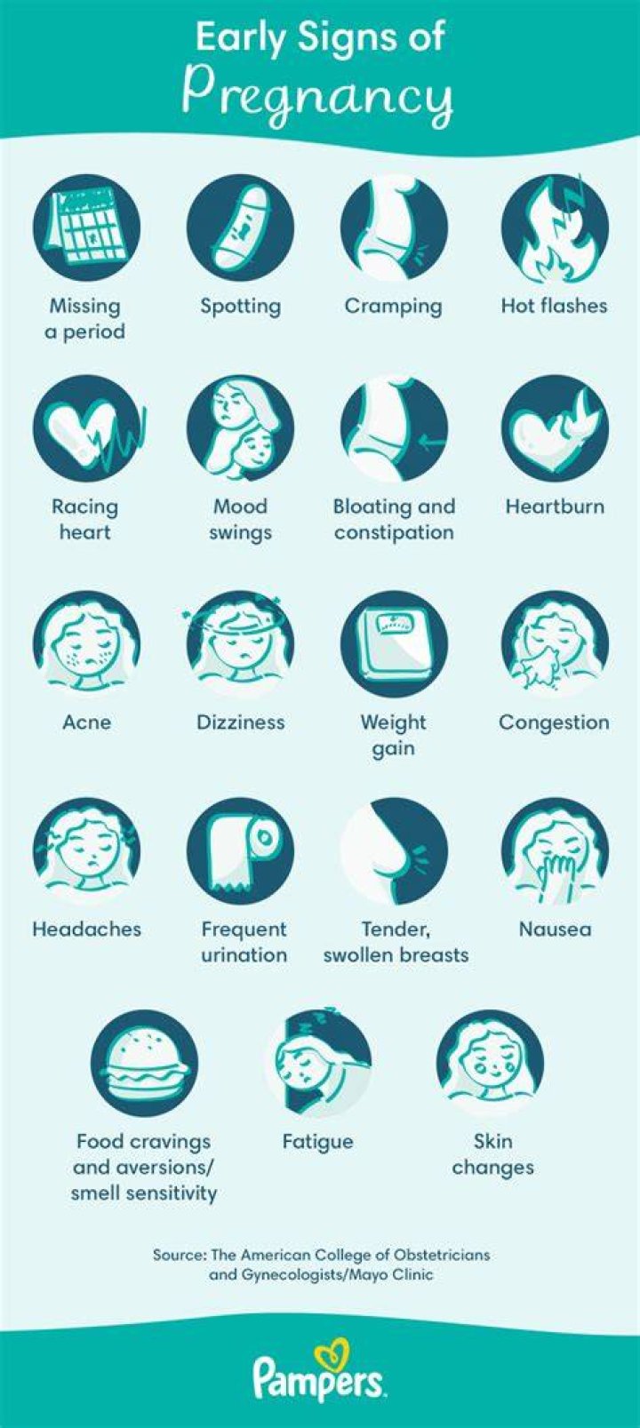 What are the 3 signs of pregnancy?
