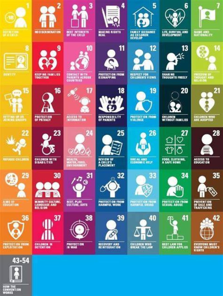 What are the 54 articles of the UN Convention on the Rights of the Child?