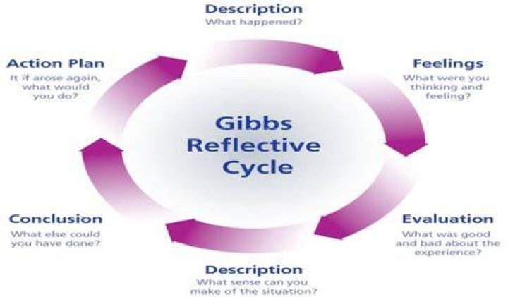 What are the 6 stages of Gibbs reflective cycle?