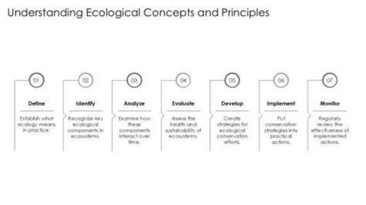 What are the four ecological principles?