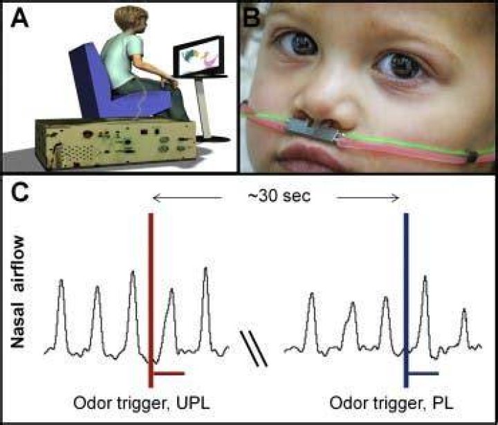 What can a sniff test diagnose?