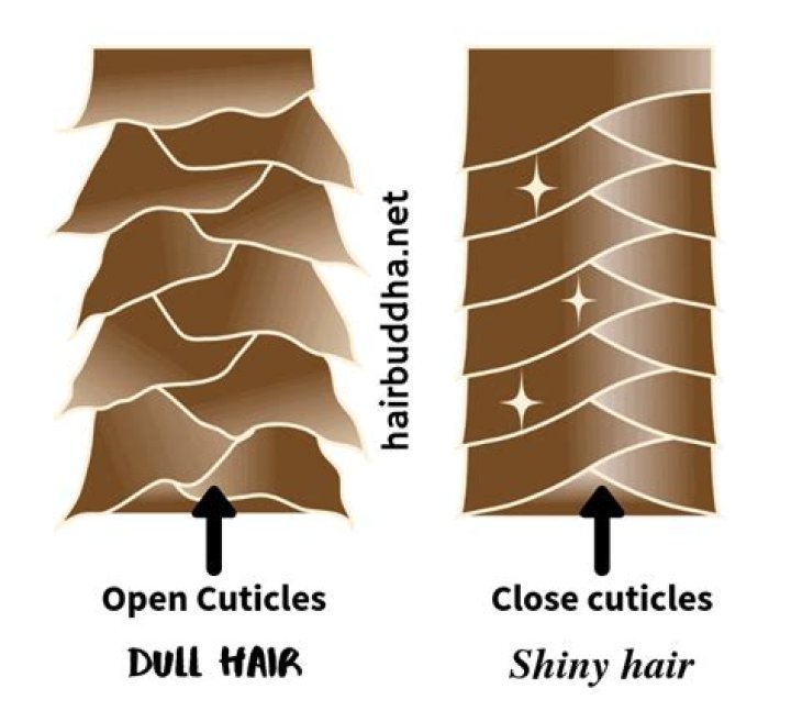What causes hair cuticles to open?