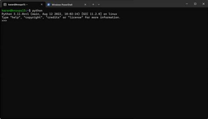 What command on command line is used to capture a picture in Python?