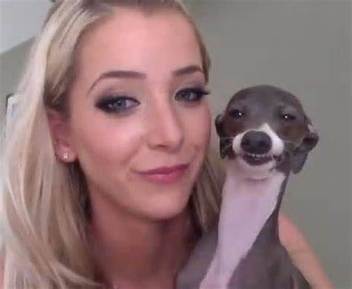 What disease does Jenna Marbles dog Kermit have?