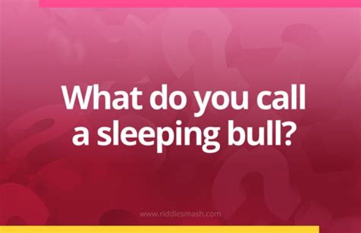 What Do You Call a Sleeping Bull? Riddle Answer Revealed PDF