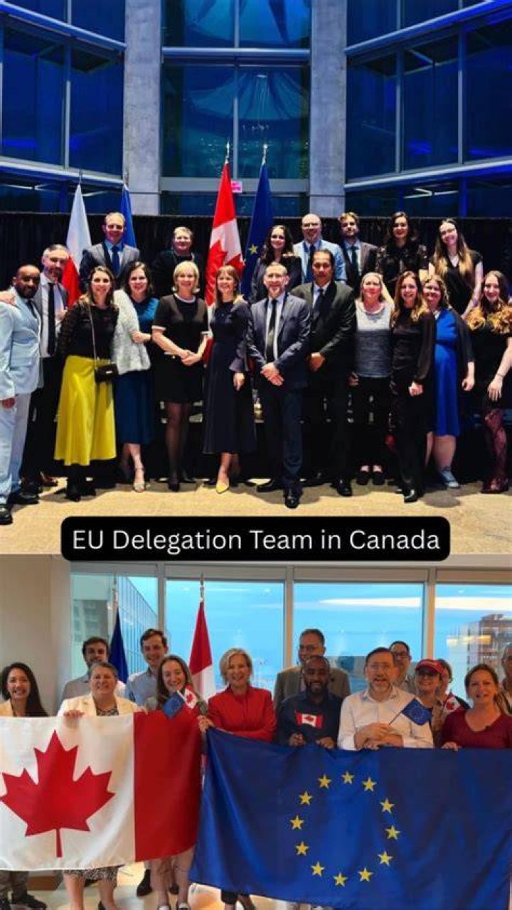 What does a EU delegation do?