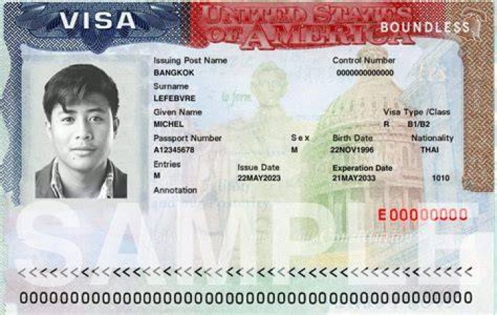 What does G5 visa mean?