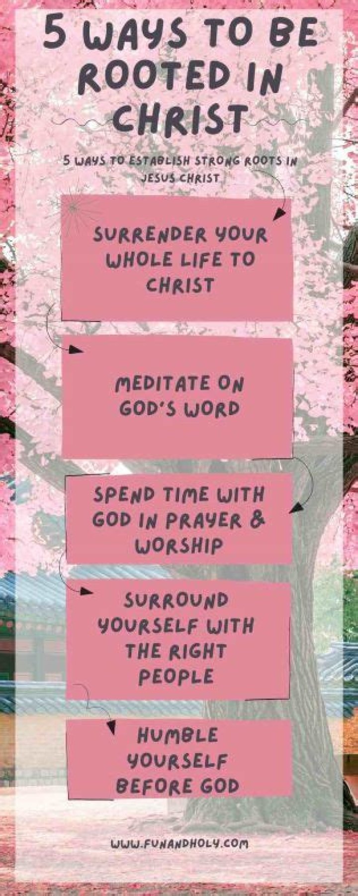What does the Bible say about rooted and grounded?