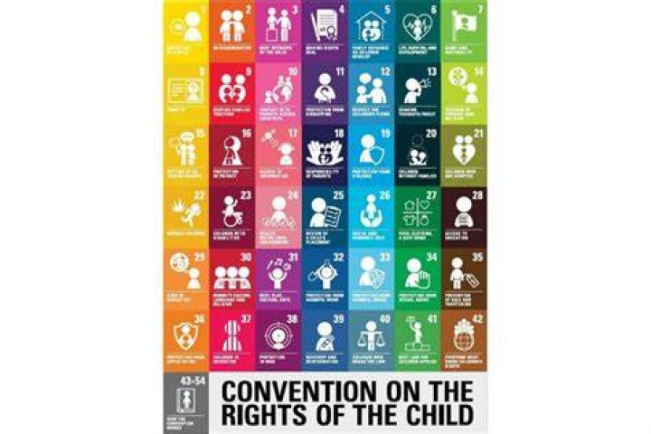 What does the Committee on the Rights of the Child do?