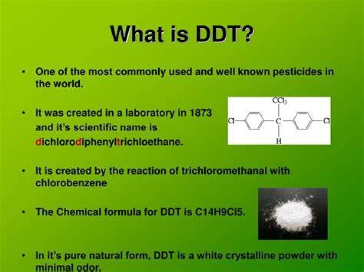 What does the DDT stand for?