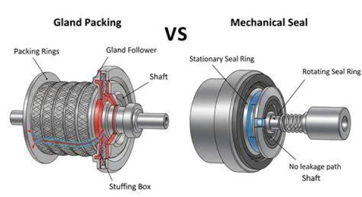 What does the packing gland do?