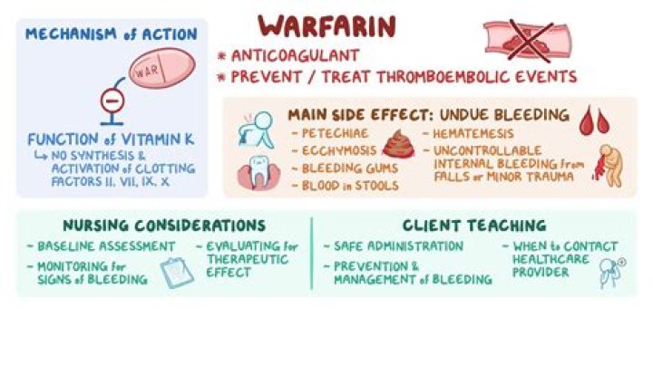 What drugs should not be taken with warfarin?