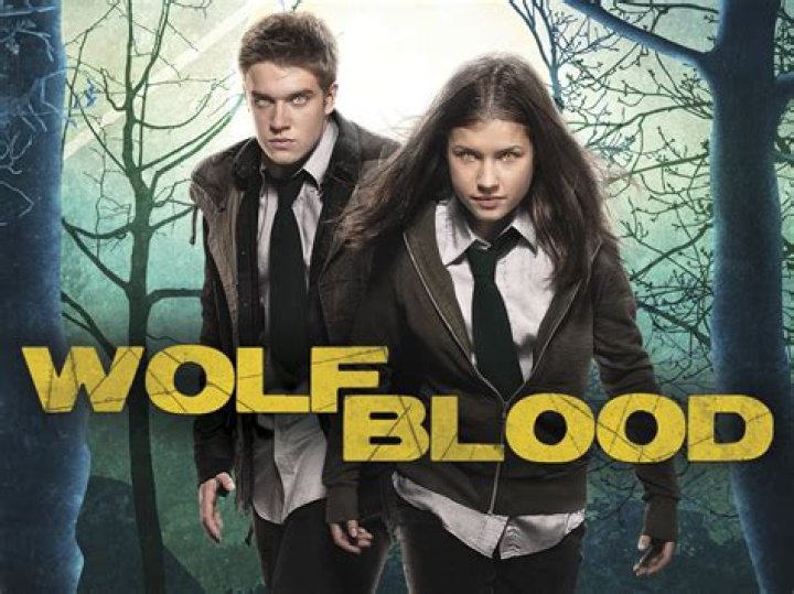 What episode does Rhydian leave Wolfblood?