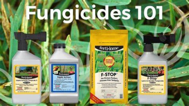 What fungicides are used on grapes?