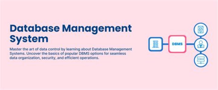 What Is a Database Management System? PDF Guide