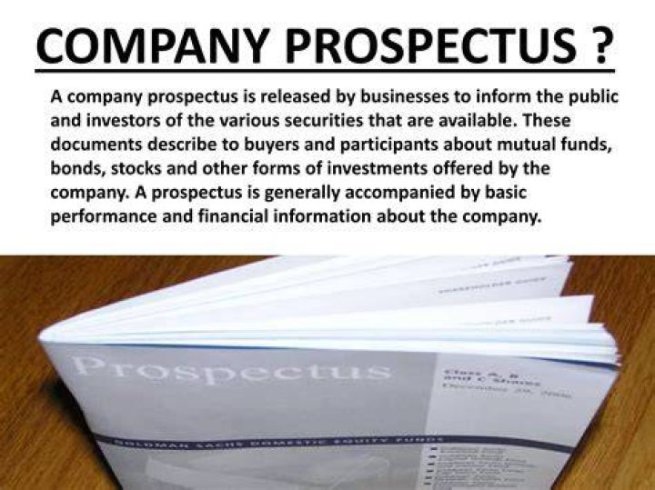 What is a prospectus for a public company?