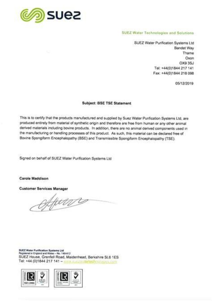 What is a TSE BSE statement?