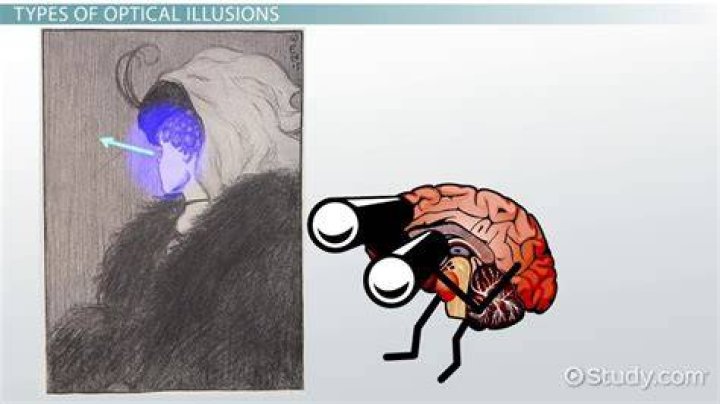 What is an illusion simple definition?
