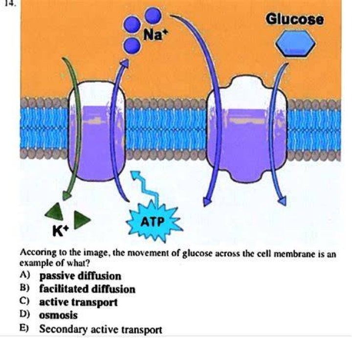 What is ATP in diffusion?