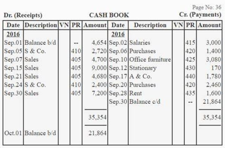 What is cash book in government accounting?