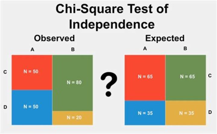 What Is Chi Square Test? A Simple PDF Guide