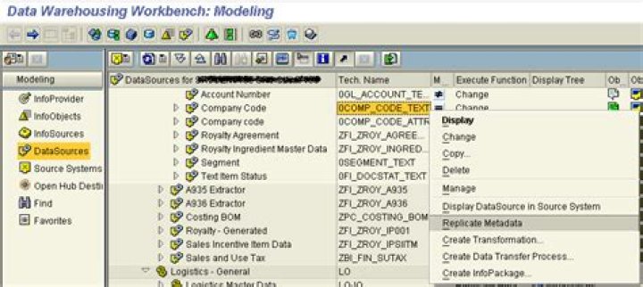 What is DataSource in BW?