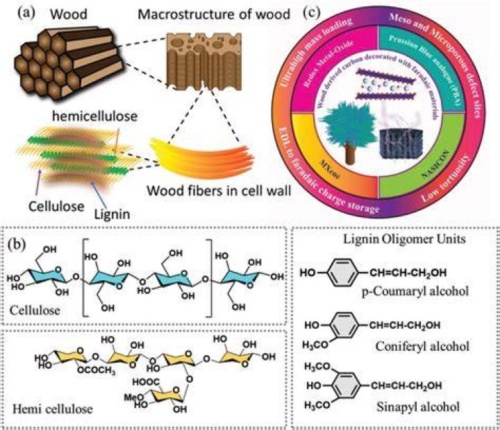 What is hemi cellulose in wood?