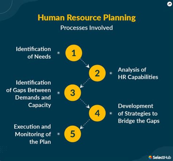 What is human resource planning process PDF?