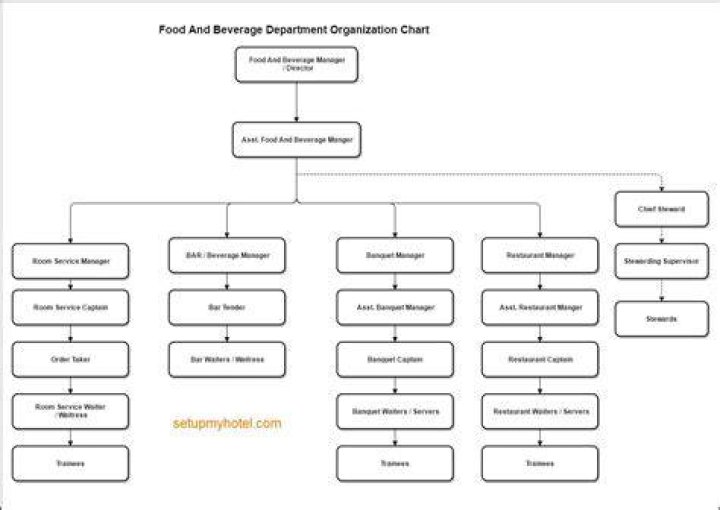 What is organizational chart in food service?
