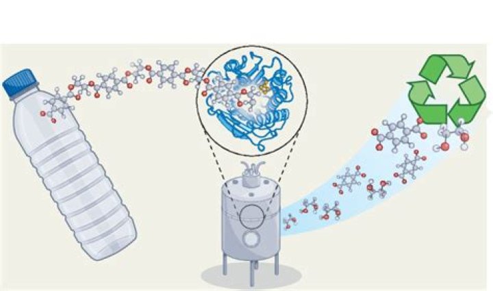 What is plastic depolymerization?