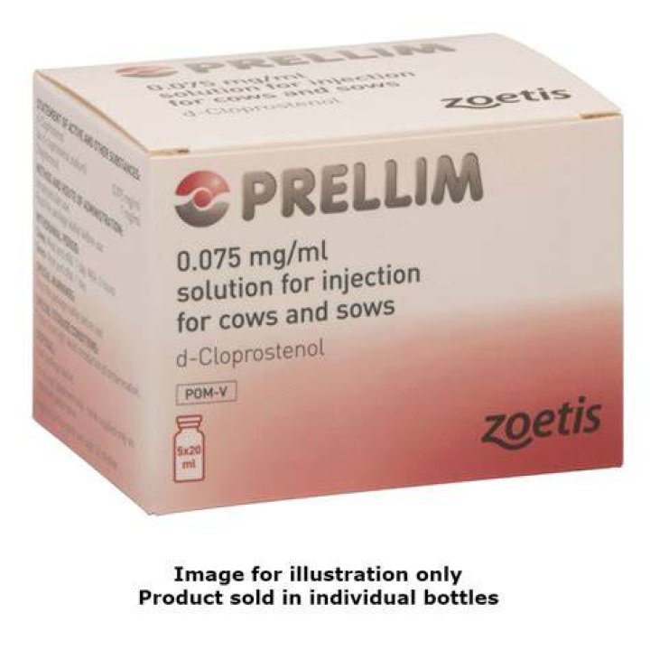 What is prellim injection?