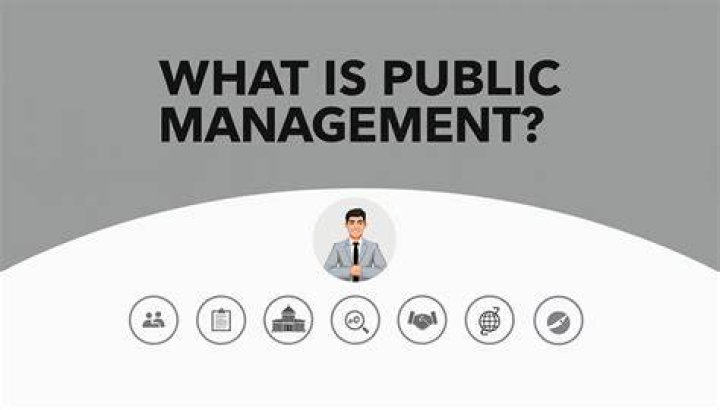 What Is Public Management? A Complete PDF Guide