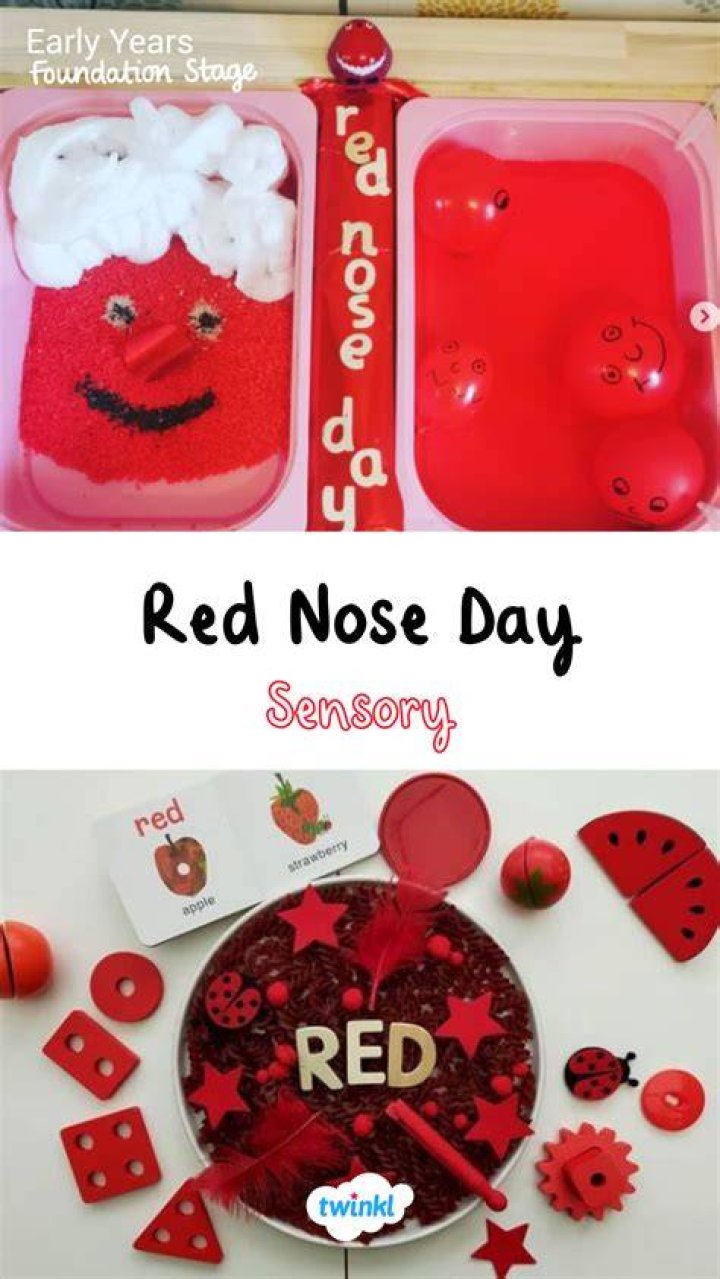 What is Red Nose Day activities?