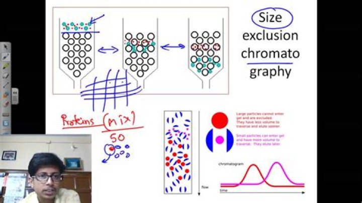 What is role and application of size-exclusion chromatography in forensic science?
