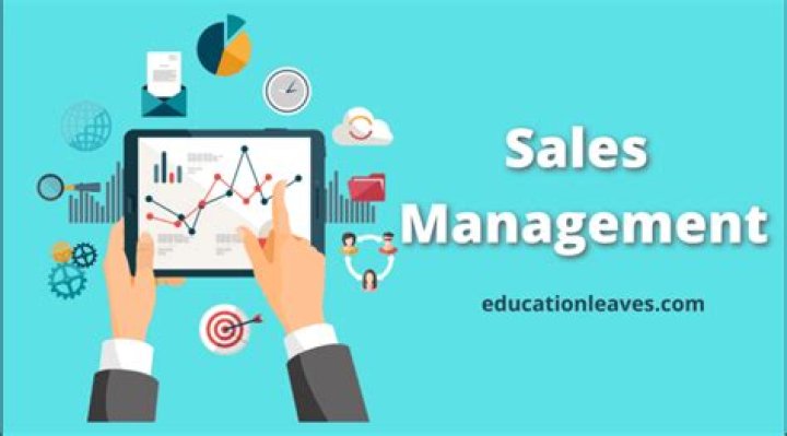 What Is Sales Management? A Complete PDF Guide