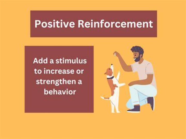 What is self reinforcement in psychology?