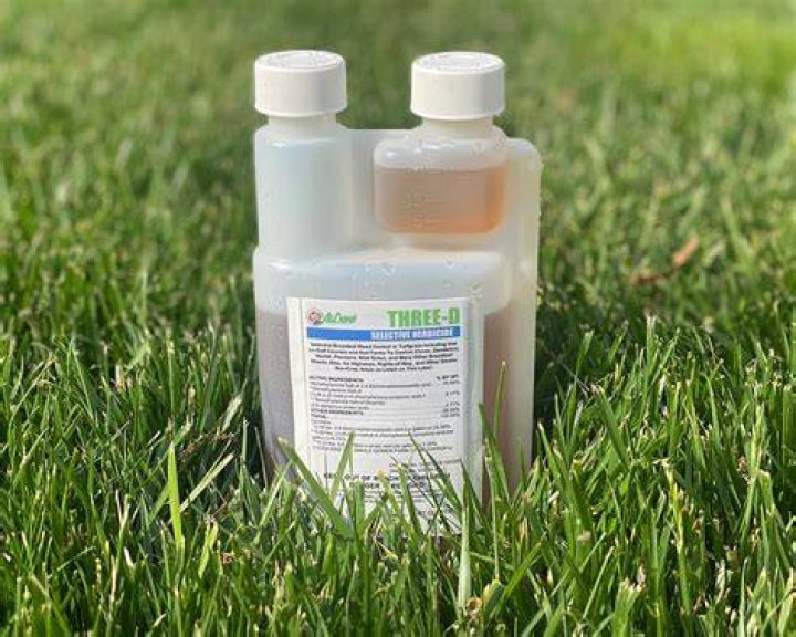 What is the best herbicide for tall fescue?