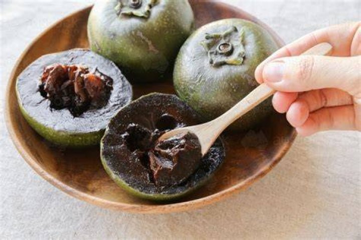 What is the chocolate pudding fruit called?