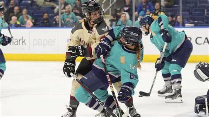 What is the difference between body contact and body checking?