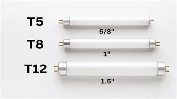 What is the difference between T12 T8 and T5?