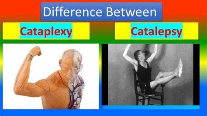 What is the difference between waxy flexibility and catalepsy?