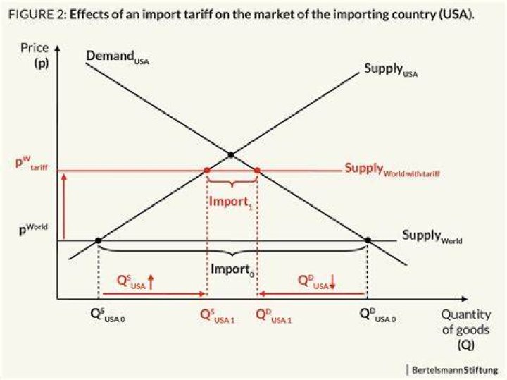 What is the effect of a tariff on imports?